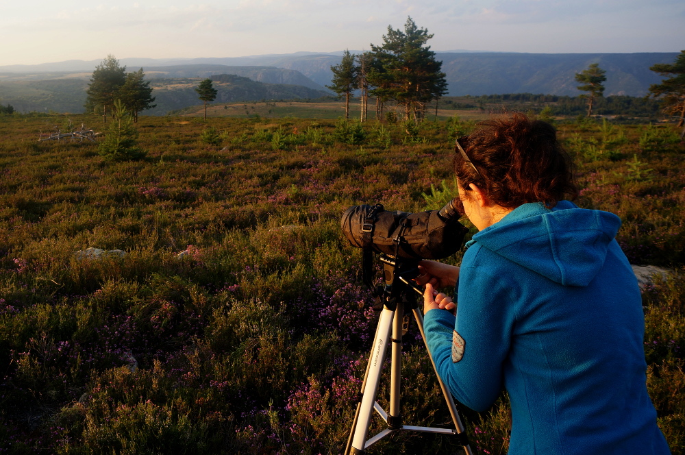 SOIREE ASTRONOMIE EN CEVENNES Villefort