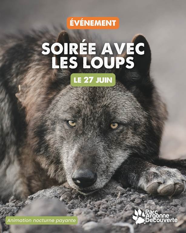 Soirée avec les loups RD 946 Olizy-Primat