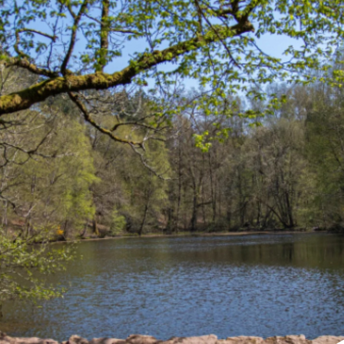Sortie Brocéliande Centre des Marais Vern-sur-Seiche