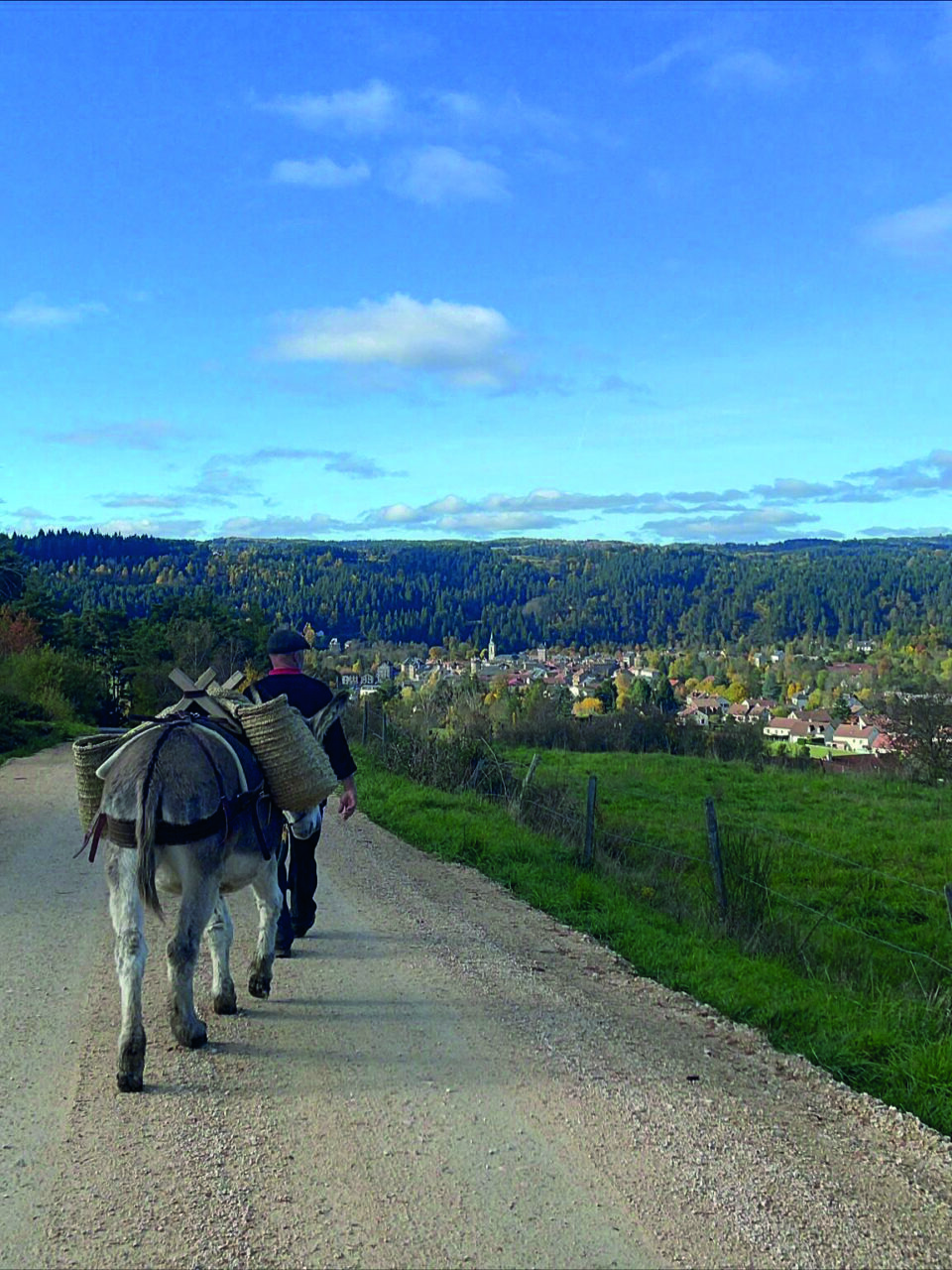 SORTIE NATURE BALADE AVEC UN ÂNE  Saint-Alban-sur-Limagnole