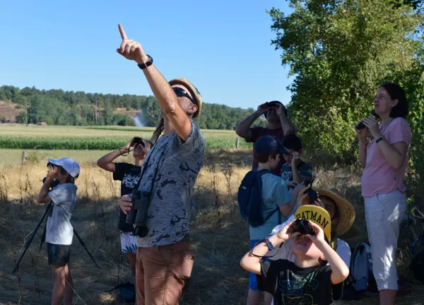 Sortie nature Ballet aérien dans le ciel du Rougier  Montlaur