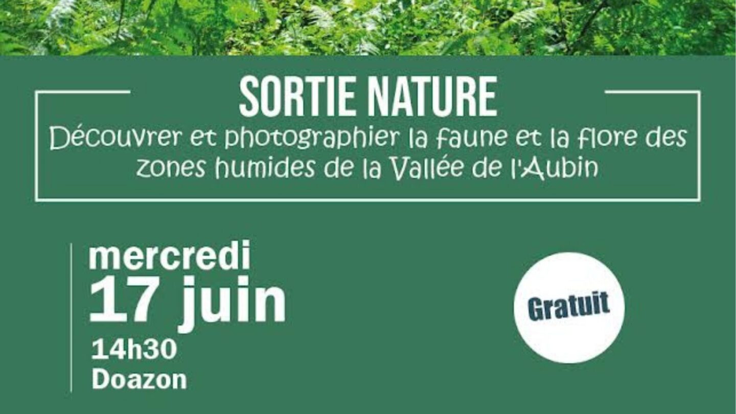 Sortie nature et photo Doazon