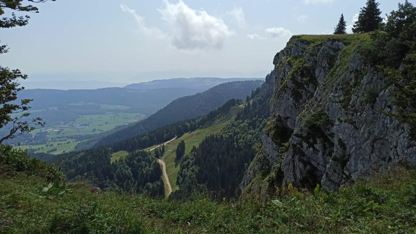 Sortie nature Les crêtes du Mont d’Or Faune, flore et histoire du Mont d’or Labergement-Sainte-Marie