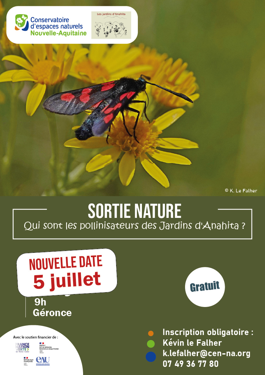 Sortie nature  Qui sont les pollinisateurs des Jardins d&rsquo;Anahita ?  Géronce