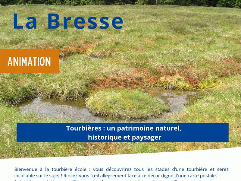 Sortie nature Tourbières un patrimoine naturel, historique et paysager La Bresse