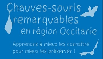 SORTIE NOCTURE LPO 66 PAYS CATALAN OBSERVATION DES CHAUVES-SOURIS AVEC CARLA Médiathèque Prosper Mérimée Saint-Cyprien