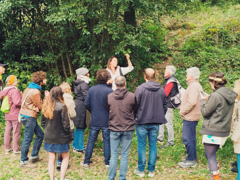 Sortie plantes sauvages comestibles  Saint-Pierre-de-Mons