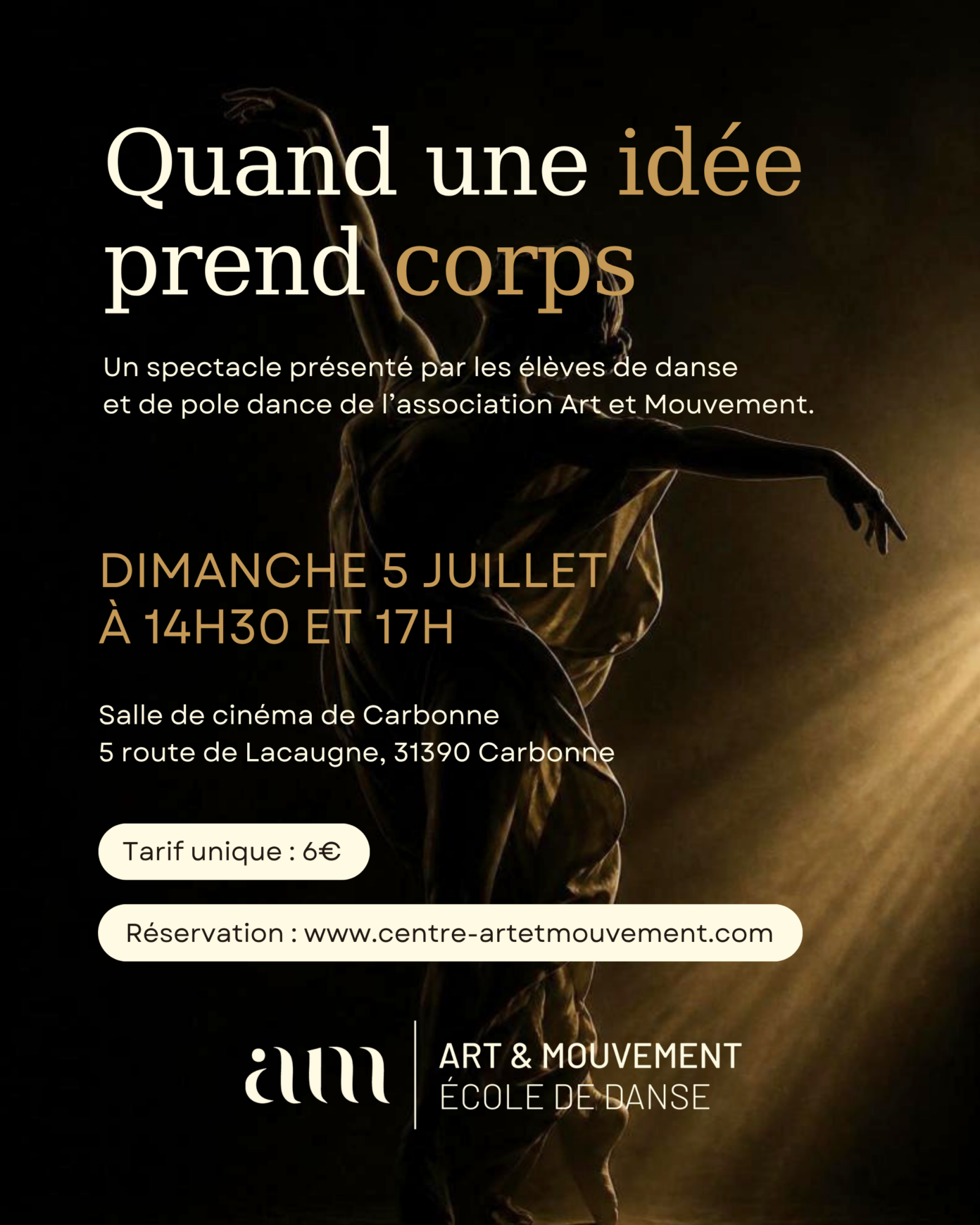 SPECTACLE DE DANSE & POLE DANCE SALLE DE CINEMA DE CARBONNE Carbonne