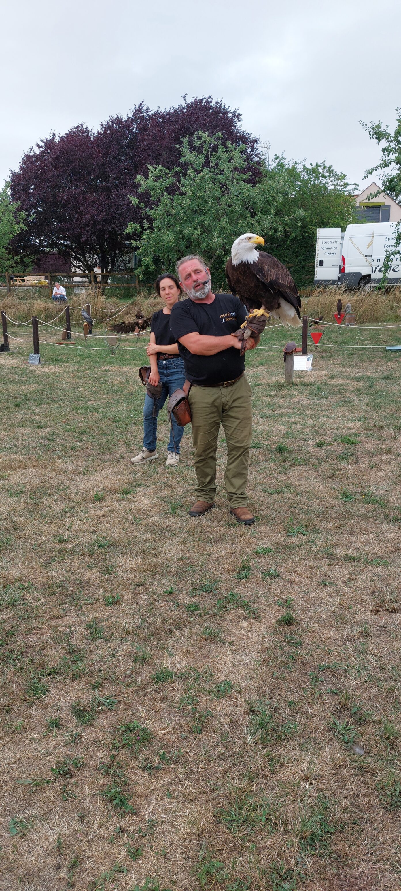 Spectacle de vol de rapaces  Paucourt