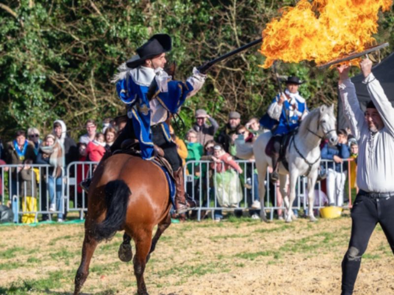 Spectacle équestre Les Mousquetaires  Saint-Lô