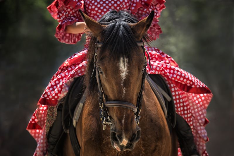 Spectacles des vendredis Bestia/Les bourgeaons Cheval songeur Le bourg Campagne