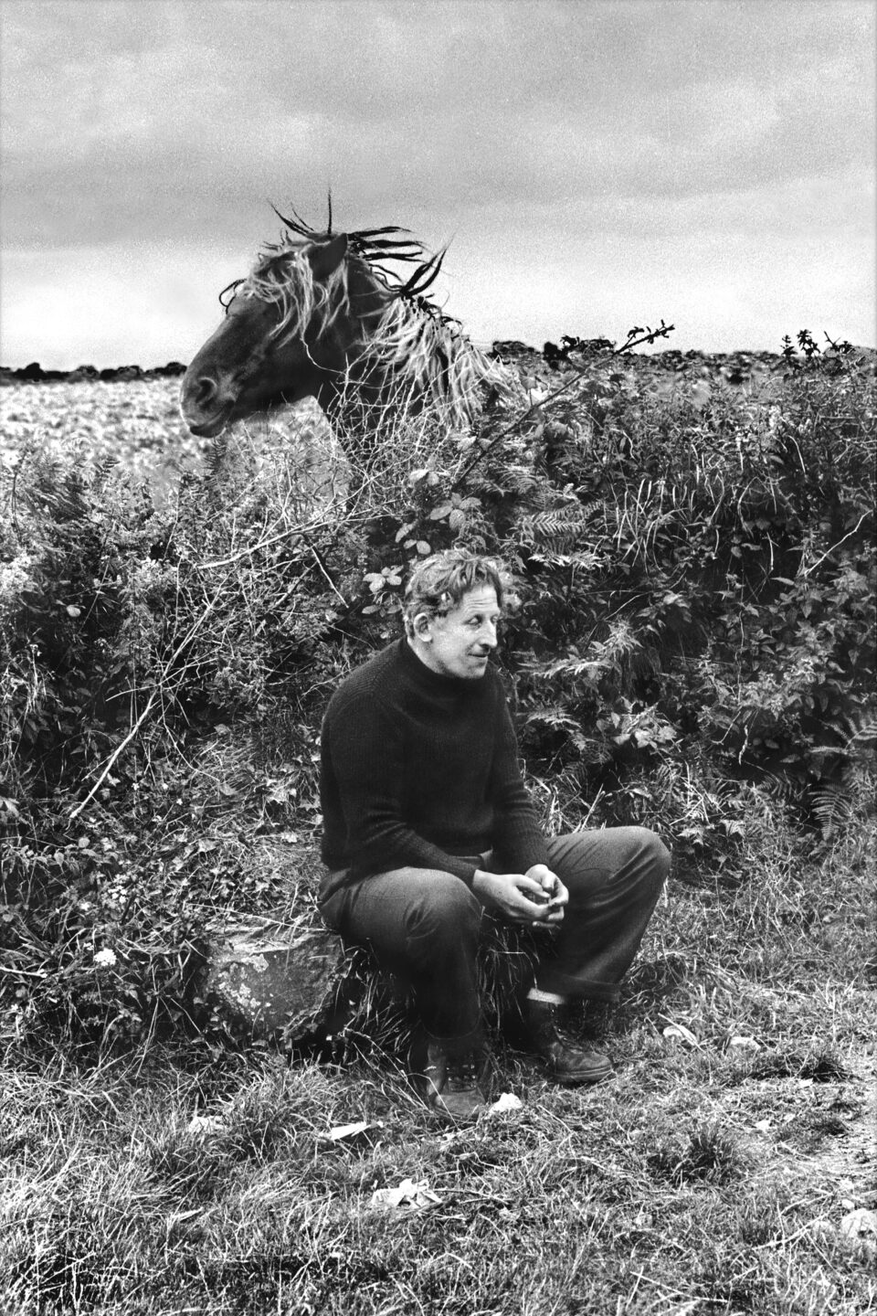 pierre le gall photo