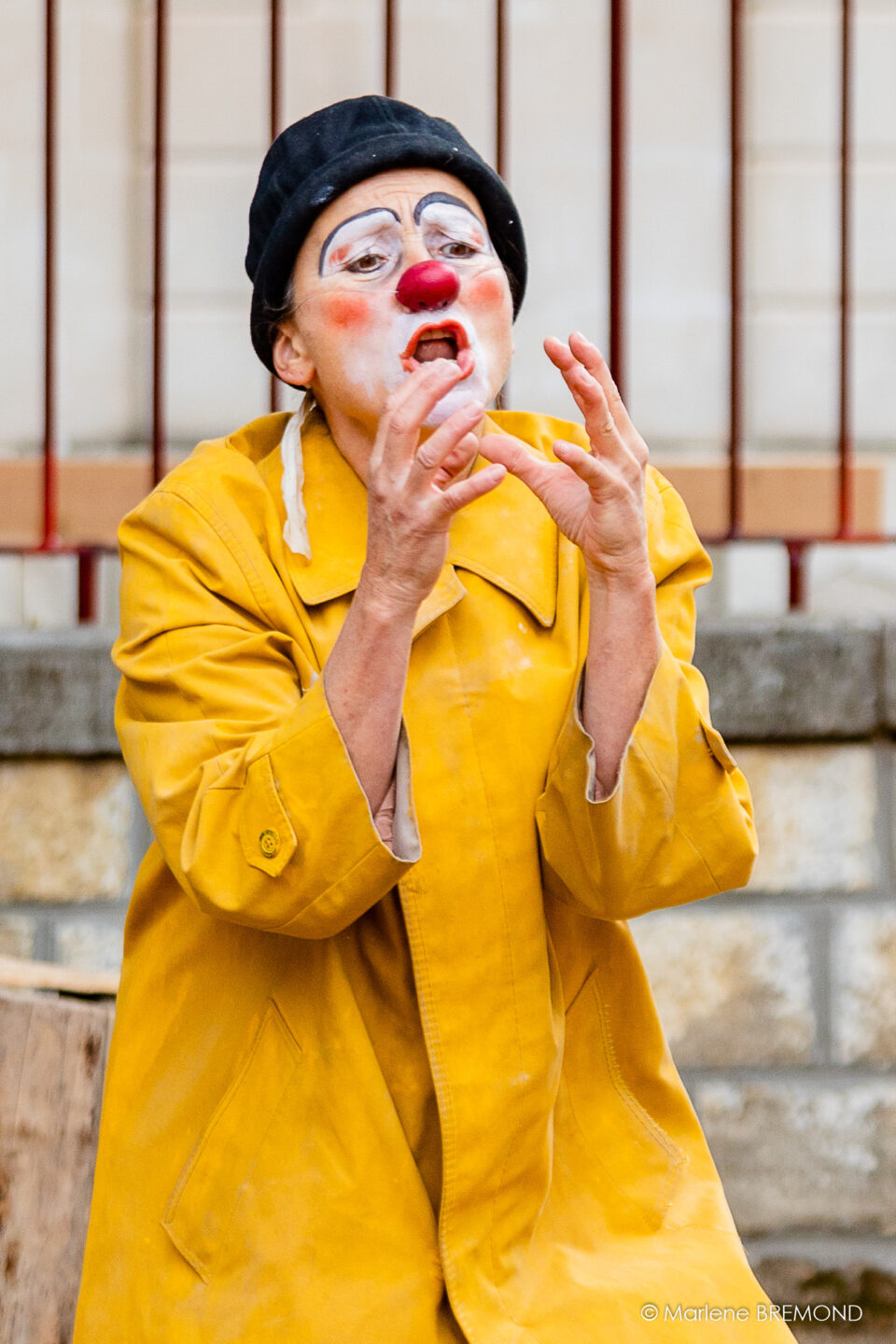 STAGE CLOWN ADULTES Nébian