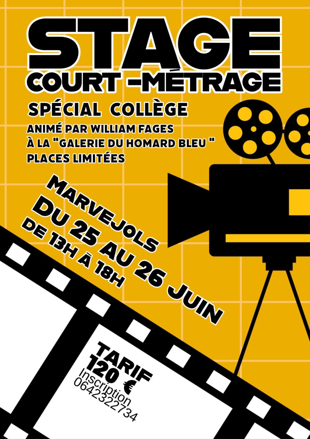 STAGE COURT-MÉTRAGE  Marvejols