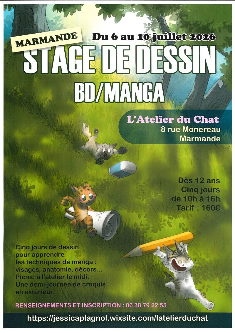 Stage de dessin BD / MANGA L&rsquo;Atelier du Chat Marmande