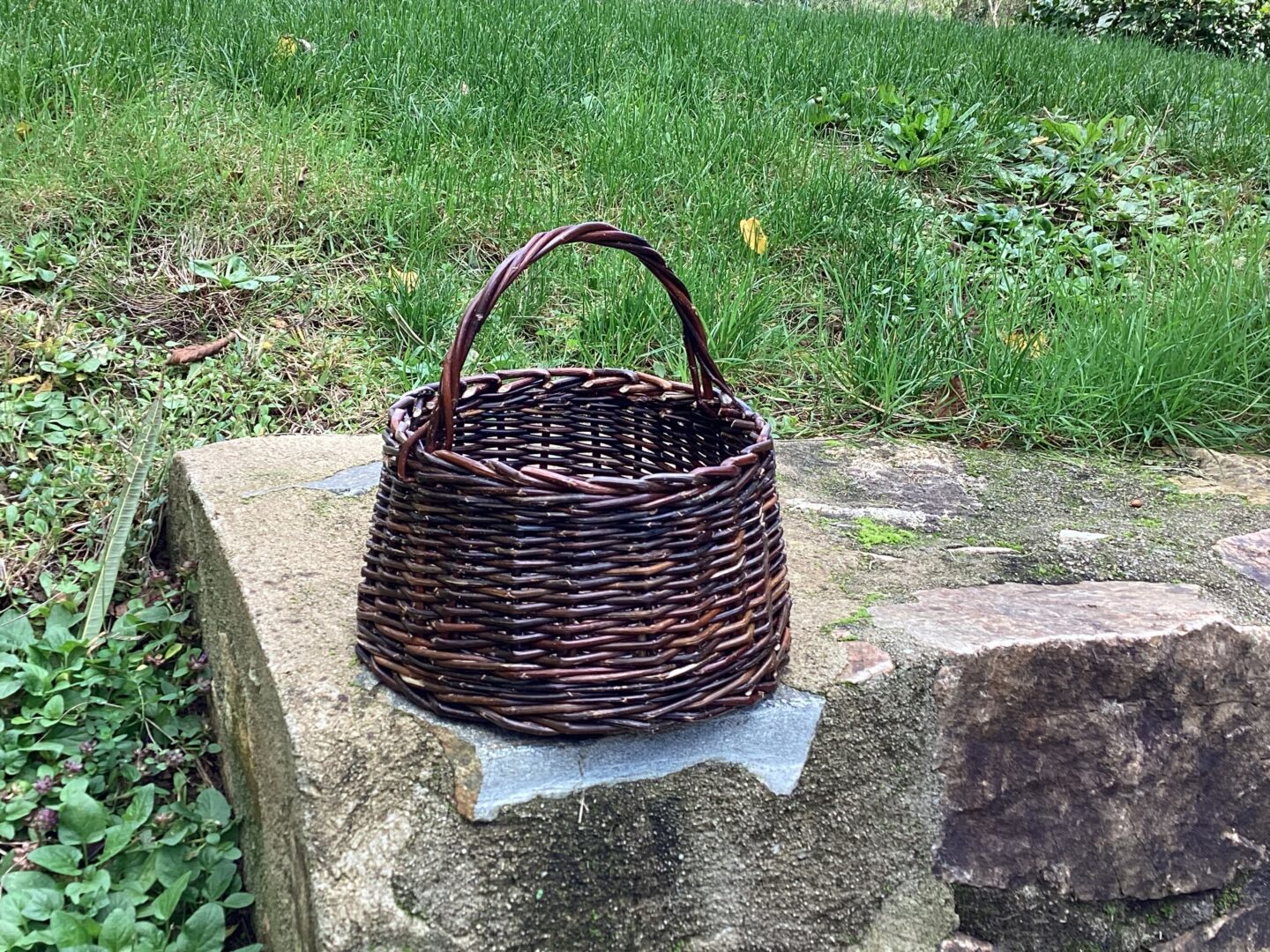 Stage de vannerie petit panier rentrant Saint-Victurnien
