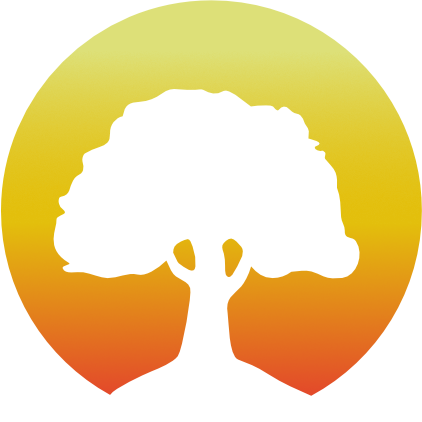 Stage de yoga Iyengar avec Karina Veaupeytourie Saint-Mesmin