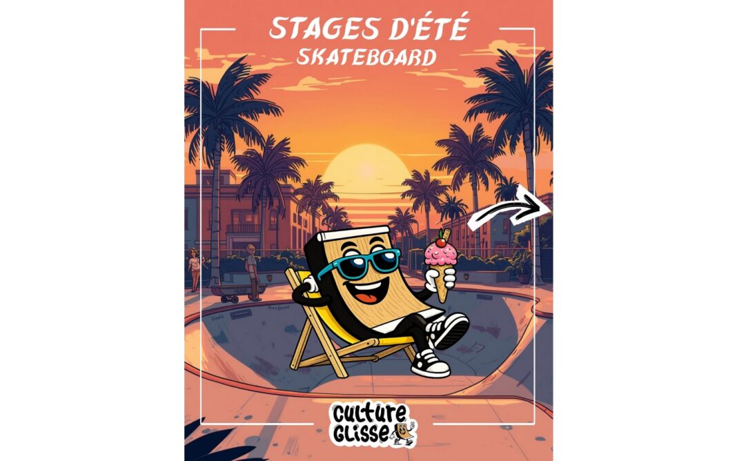 Stage skate multipark  Pau