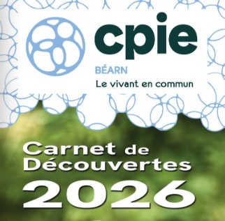 Sur la piste de la chouette de Tengmalm Sortie CPIE  Lourdios-Ichère