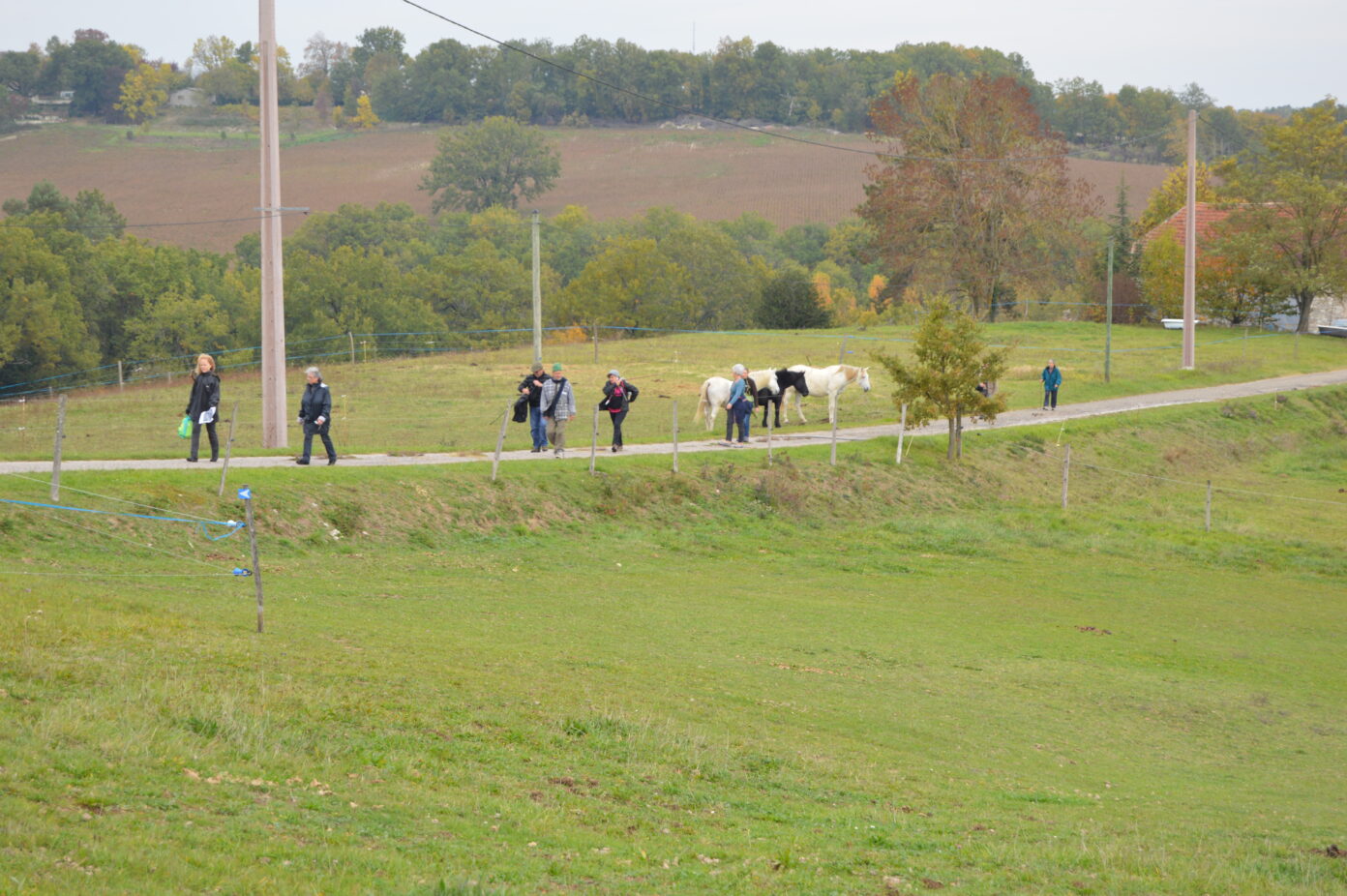 Sur les hauteurs de Saint-Robert Mairie de Saint-robert Saint-Robert