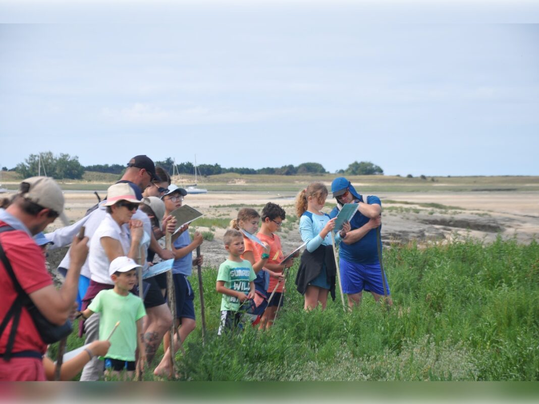 Traversée pour enfants du havre de la Sienne Rue du Port Regnéville-sur-Mer