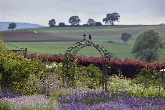 Un coup d’œil dans les jardins des professionnels – jardin de démonstration dans une jardinerie écologique de parfums et d’herbes aromatique, SYRINGA Duftpflanzen und Kräuter, Hilzingen