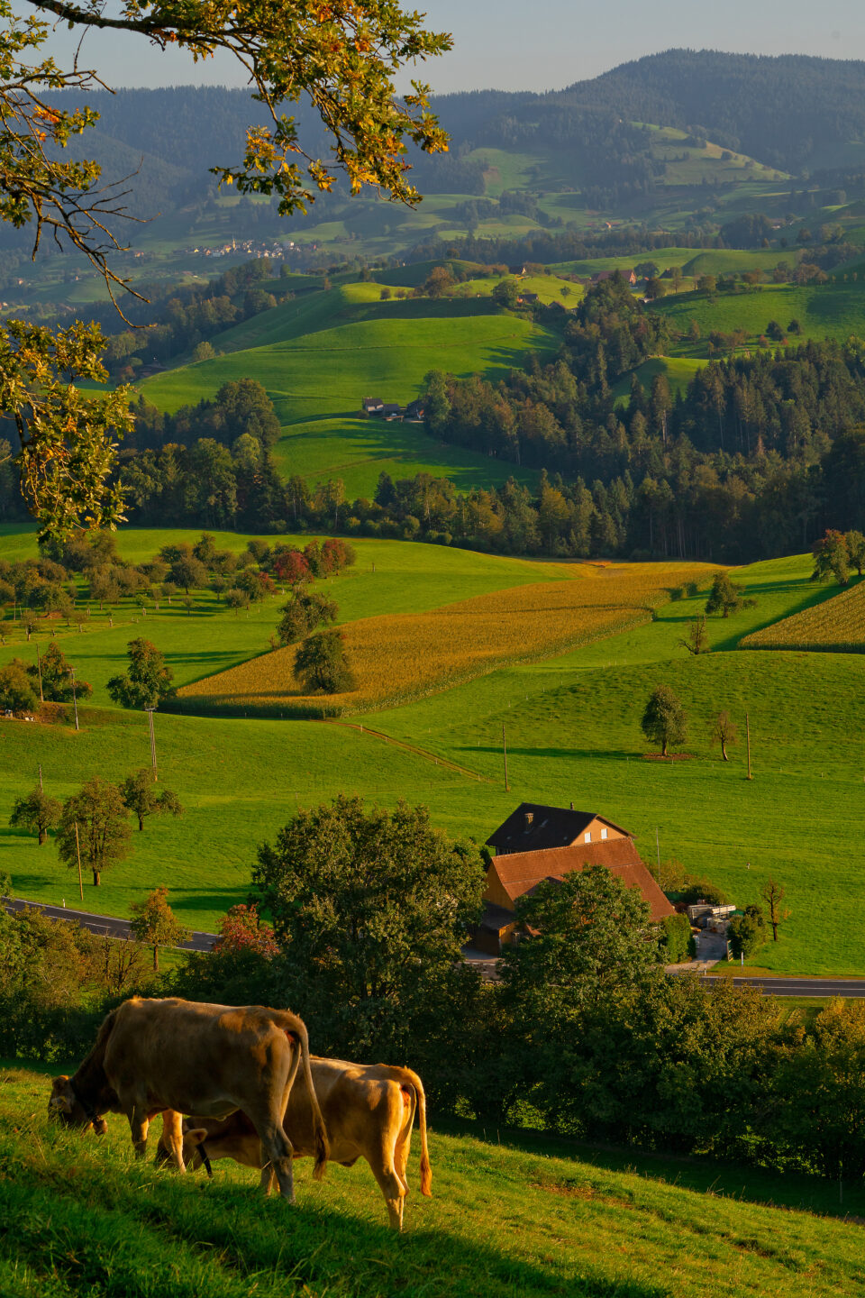 UN ÉTÉ À LA FERME FRAISSINET Saint-Pierre-de-Nogaret