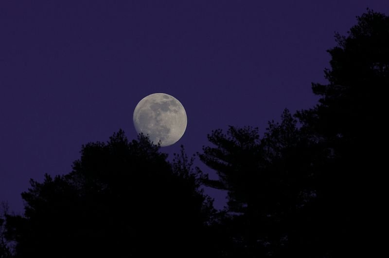 UN ÉTÉ AVEC LE PARC PLEINE LUNE SUR LE MONT LOZÈRE Saint-Étienne-du-Valdonnez