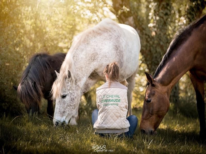 Vacances d&rsquo;été au Cheval Emeraude  Marigny-Le-Lozon