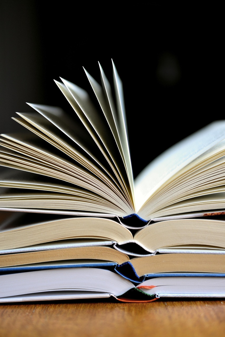 Vente publique des livres désherbés  Gourdon