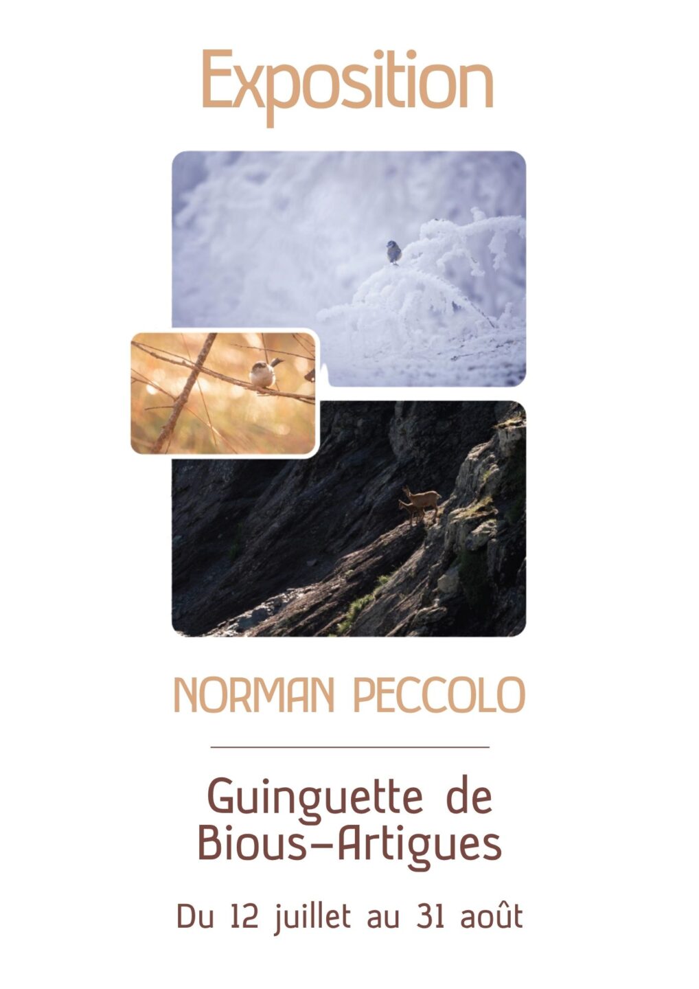 Vernissage d'exposition Norman Peccolo photographe sauvage Guiguette de Bious Laruns 2026-07-12
