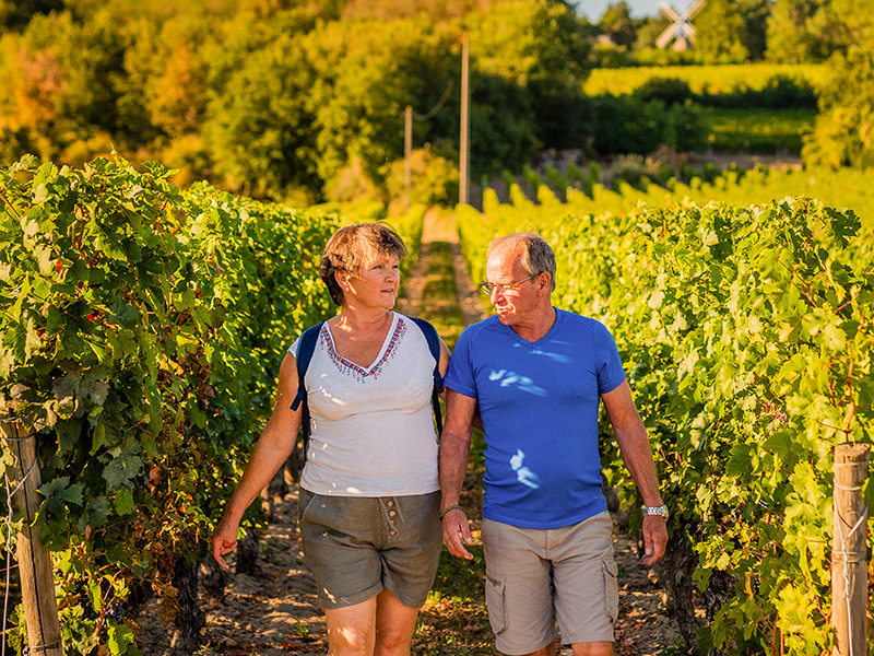Vignes, Vins, Randos à Bourgueil ! Bourgueil