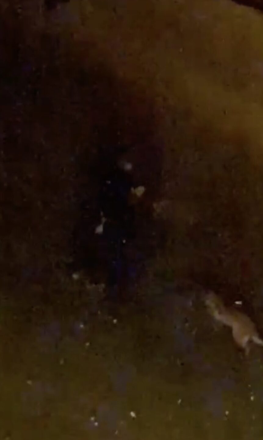video blosne rennes violence police