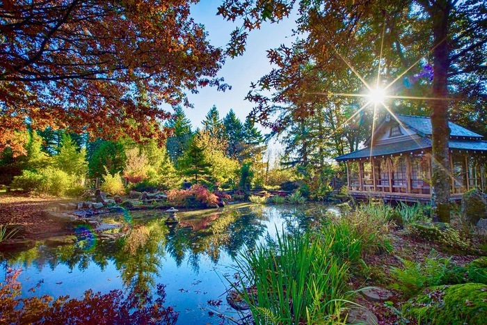 Visite commentée du jardin japonais Fukutsu-En Jardin japonais Fukutsu-En Bonnac-la-Côte