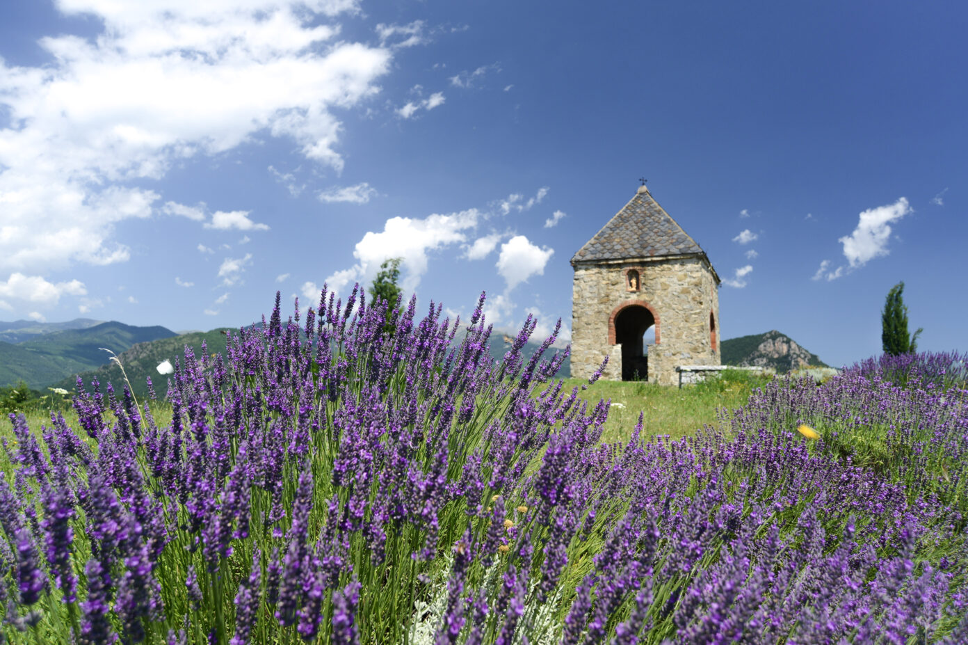 VISITE COMMENTÉE DU MUSÉE, DU CONJURADOR ET DE L’ÉGLISE  Serralongue