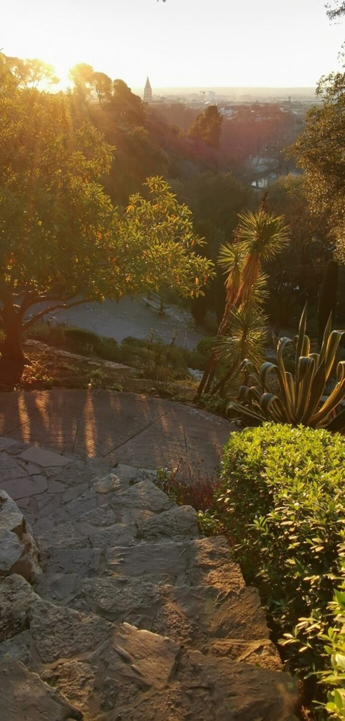 Visite commentée : la biodiversité à fleur de peau, Jardins de la Fontaine, Nîmes