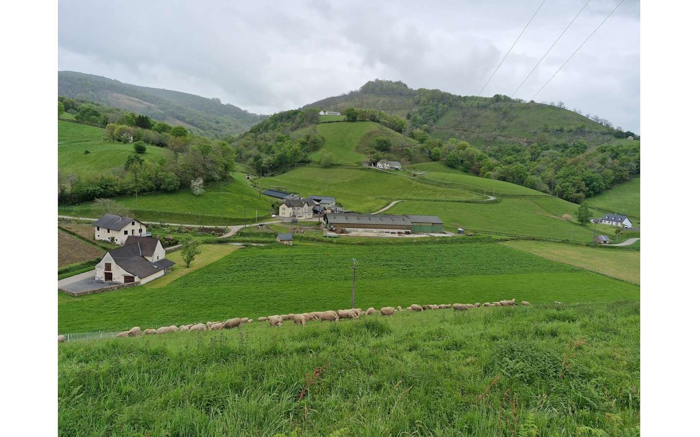 Visite de la ferme Burgubu GAEC Burgubu Roquiague
