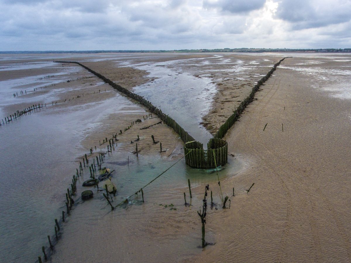 Visite de la pêcherie La Maillard 30 Avenue de l'Aumesle Hauteville-sur-Mer 2026-08-17