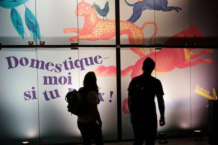 Visite de l’exposition : Domestique-moi si tu peux !, Muséum de Toulouse, Toulouse