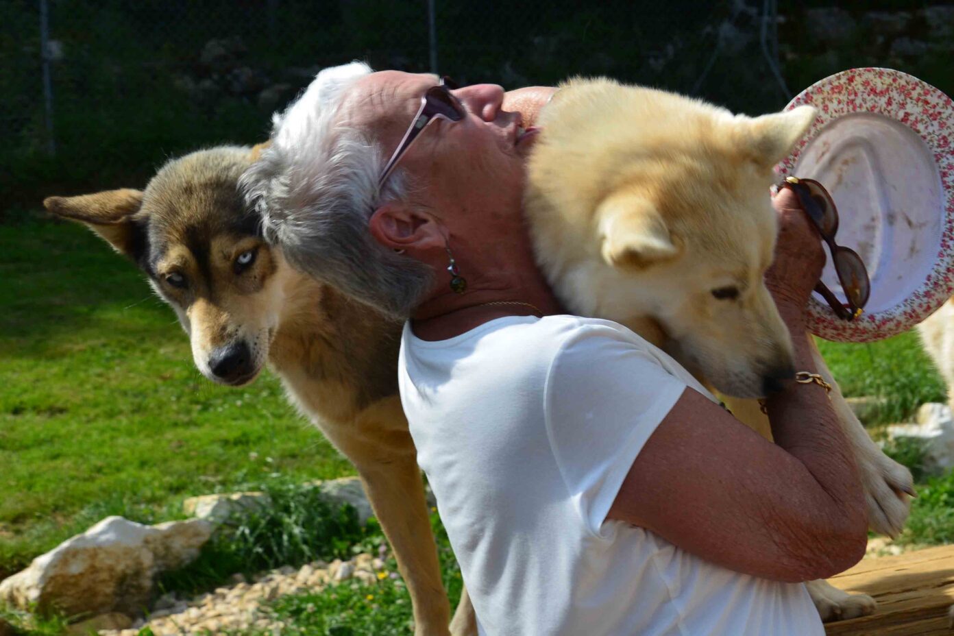 Visite de parc et immersion chiens de traineaux Sentiers Nordiques, Combe Arbey, Lamoura Lamoura
