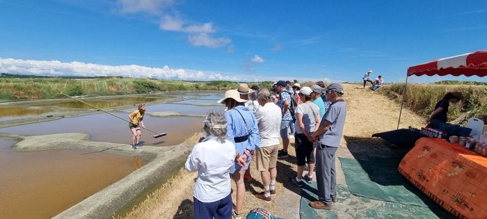 Visite de Saline à Guérande, Saline Le Lénigué – Marais Salants de Guérande, Guérande