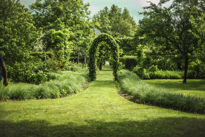 Visite découverte du jardin botanique et de l’arboretum, Jardin et arboretum de Poulaines, Poulaines