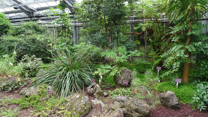 Visite des serres tropicales, Jardin du conservatoire botanique national de Brest, Brest