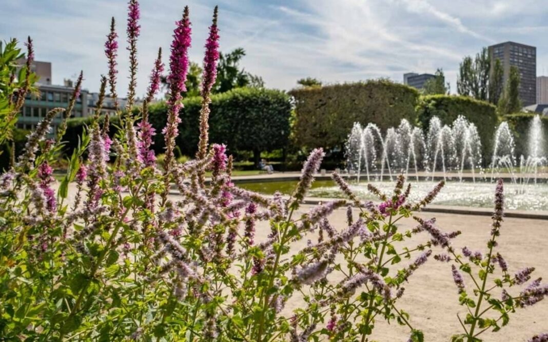 Visite du parc de Choisy au square de la Raffinerie Say Parc de Choisy PARIS