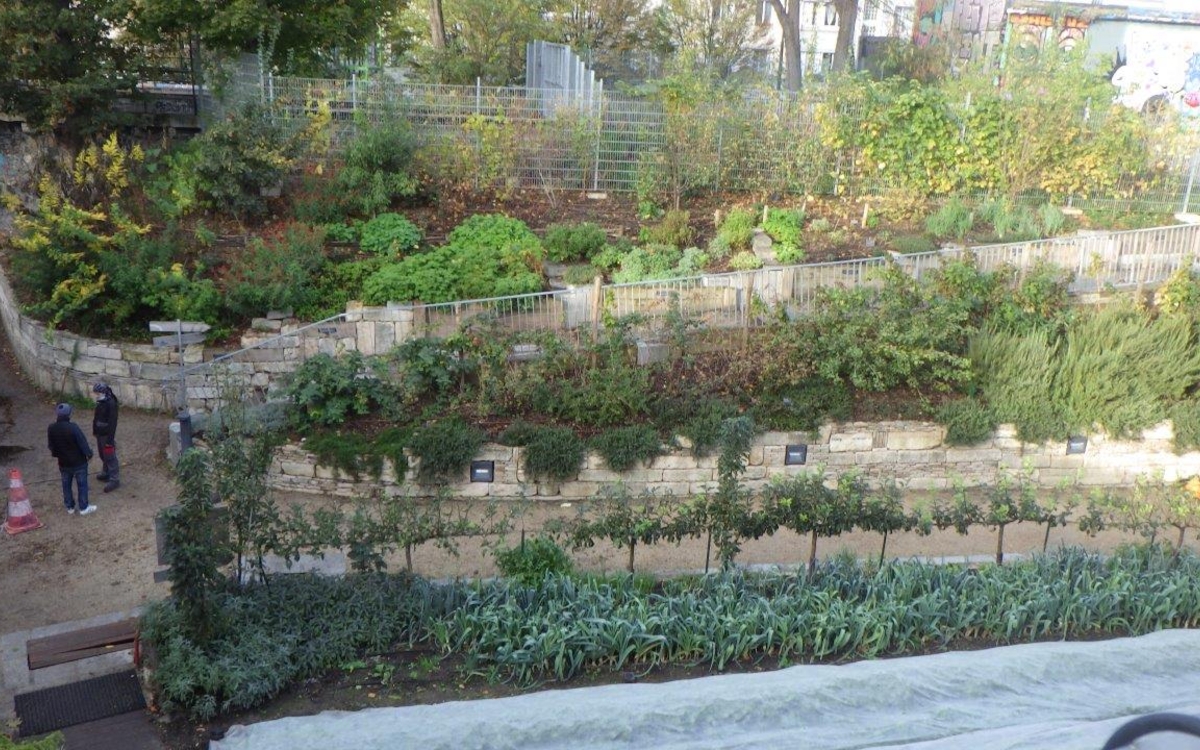 Visite Ferme du Rail et jardins partagés : productions alimentaires dans le 19ème arr. Ferme du Rail Paris