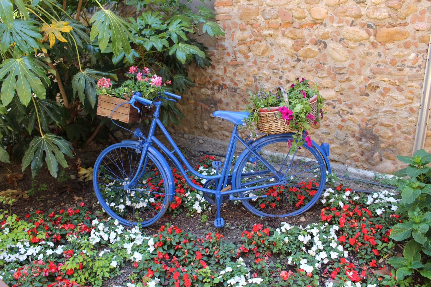 VISITE GUIDÉE À VÉLO Sainte-Marie-la-Mer