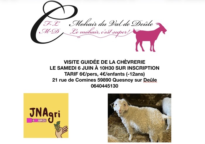 Visite guidée de la chèvrerie, Mohair du Val de Deûle, Quesnoy-sur-Deûle
