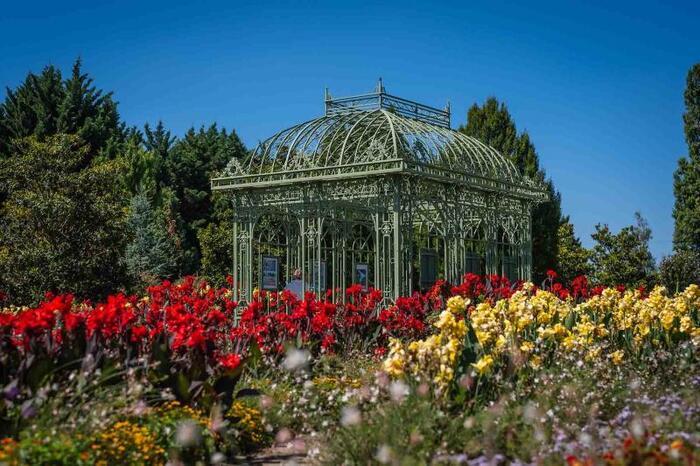 Visite guidée des jardins fleuris de Hirschstetten, Blumengärten, Vienne