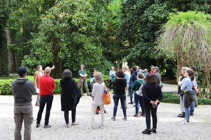 Visite guidée du parc historique Parco Storico di Villa Zileri Motterle Monteviale