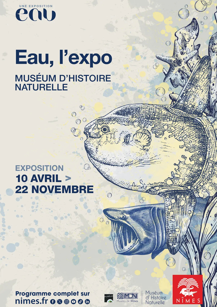 Visite guidée Muséum d'histoire naturelle et de préhistoire Nîmes